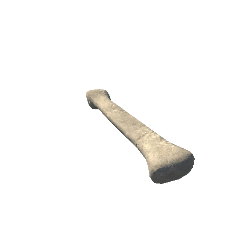 Bone 1A1